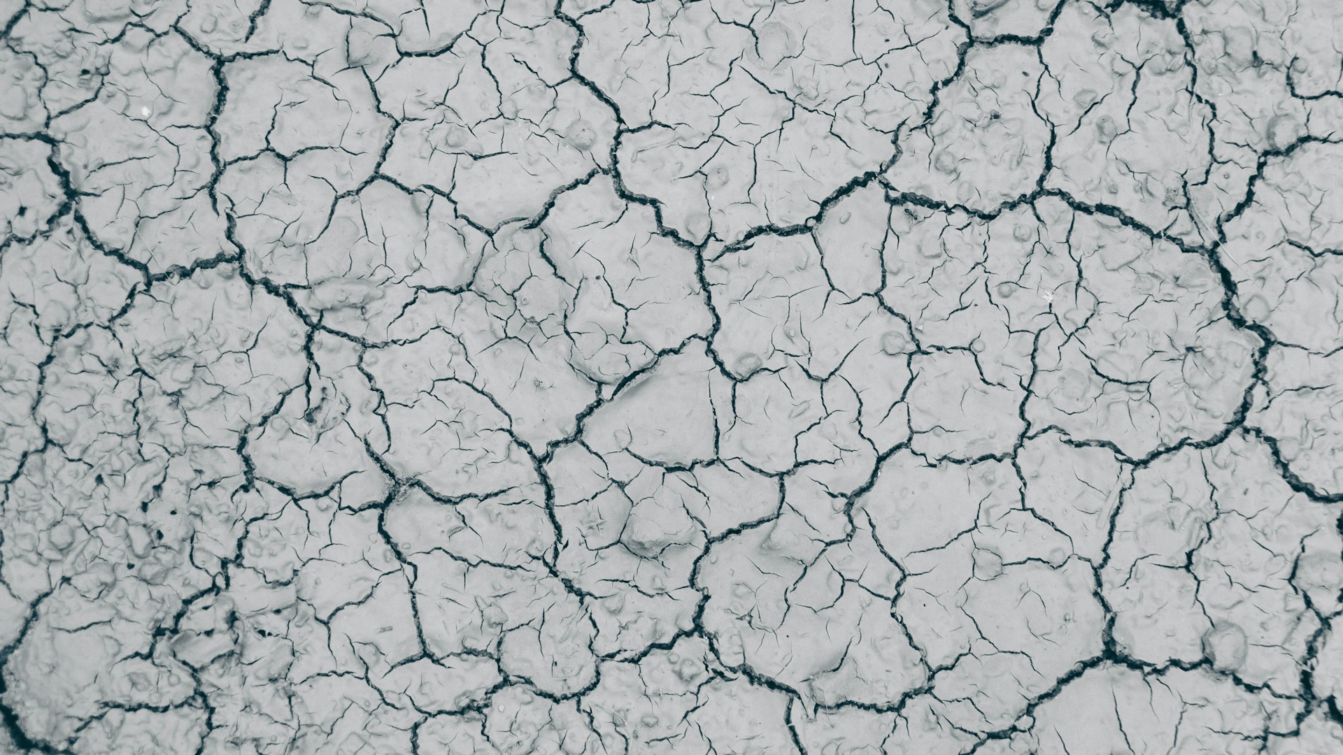 https://relay2.horasis.org/wp-content/uploads/2024/01/rishabh-mathew-wB5__7GaZgk-unsplash.jpg
